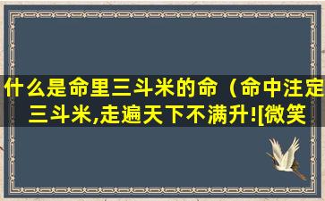 什么是命里三斗米的命（命中注定三斗米,走遍天下不满升![微笑]）